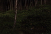 IMG_4452.JPG