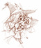 plus5_110915-3.jpg